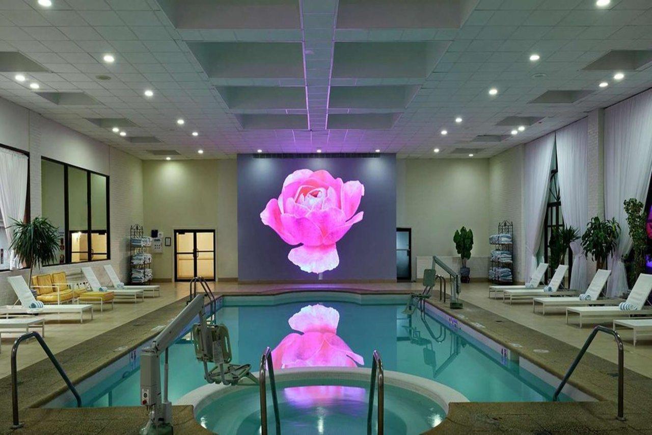 Hilton Westchester Rye Brook Buitenkant foto